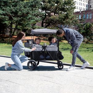 Jeep Wrangler Deluxe 4 Seater Stroller Wagon by Delta Children Premium Quad Stroller Wagon(Grey)