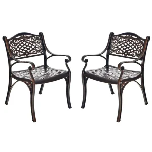 2/4Pcs All-Weather Cast Aluminum Chairs with Armrests  Curved Seats, Outdoor Dining Chairs Patio Bistro Armchairs(2Pcs)