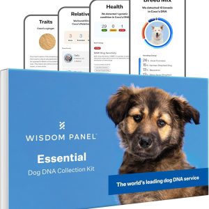 Wisdom Panel Essential Dog DNA Kit: Most Accurate Test for 365+ Breeds  30 Genetic Health Conditions  50+ Traits  Relatives  Ancestry ?C 1 Pack