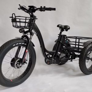 Fat tire electric Trike Tricycle(Default Title)