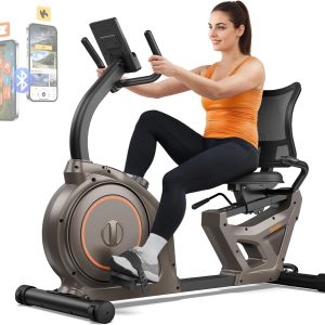 Niceday Recumbent Exercise Bike 400lbs App LCD Heart Monitor