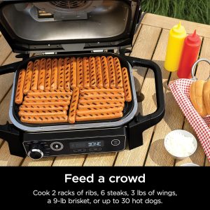 NINJA Woodfire Series 7-In-1 Portable Grill Smoker(7-In-1 Grill)