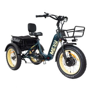 2025 SILVERADO 20 48V/14AH 750W Foldable Fat Tire Electric Trike, 330LBS (96817362)(Green)