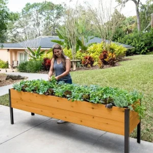 Watering Eco-Stained Elevated Planter Box(Lakeside Cedar)