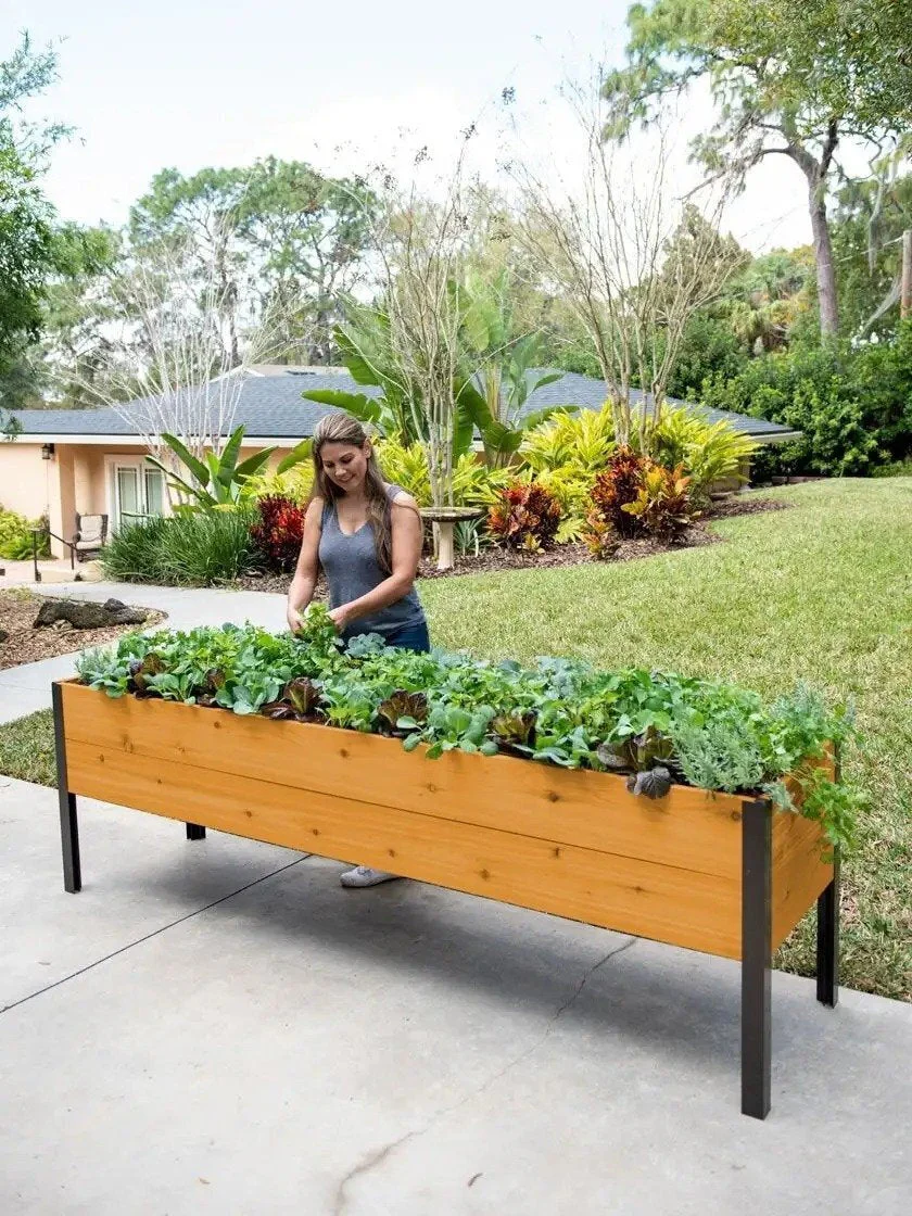 4bb487e7459fc947aa52c7a553418acb1104fd6559e463067a89b06fc8a7f8fb Watering Eco-Stained Elevated Planter Box(Lakeside Cedar)