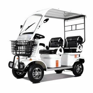 650W 60V 20Ah Electric Mobility Scooter with Long-Range(White/Without rain deflector)