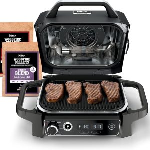 NINJA Woodfire Series 7-In-1 Portable Grill  Smoker(7-In-1 Grill)