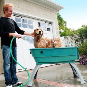 Booster Bath Elevated Pet Bathing Large Teal Steps Combo(Red/Booster Bath)