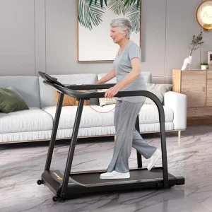 2.5 HP Walking Treadmill for Senior with Long Handrail, 300 lbs Capacity, Recovery Fitness Exercise Machine for Home with Pulse Sensors(Default Title)
