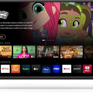 VIZIO 40-inch D-Series Full HD 1080p Smart TV with AMD FreeSync Apple AirPlay(Default/ONESIZE)