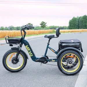 SILVERADO 20 48V/14AH 750W Foldable Fat Tire Electric Trike, 330LBS (96817362)(Green)