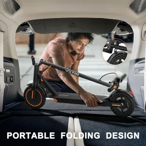 Electric Scooter Powerful Motor Dual Braking(10''-Dual Suspension-500W)