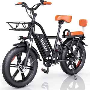 Electric Bike for Adults,750W 30-70Miles 48V 15AH Removable Battery Ebike 20" x 4.0 Fat Tire Beach Commuting E-Bike 2 Seater W/Fork Suspension UL2849