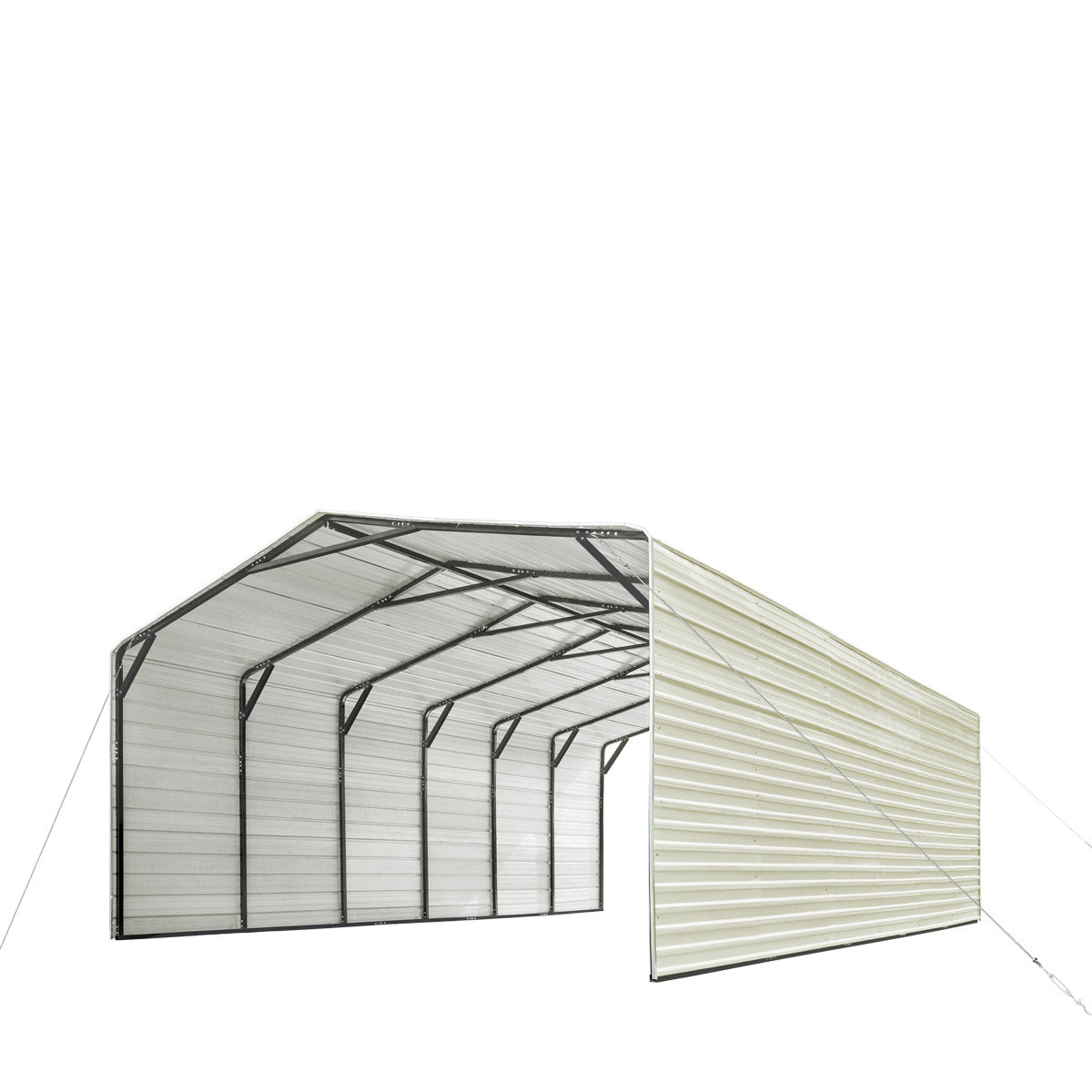 nutrigardens 2025 CP2030F 20' x 30' All-Steel Carport Shed With 10' Enclosed Sidewalls