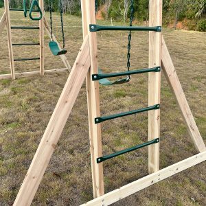 Lifespan Kids Daintree 2-in-1 Monkey Bars Swing Set