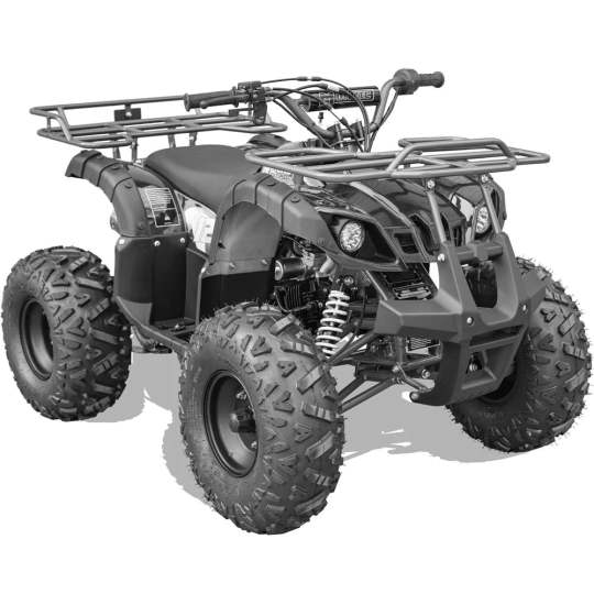 nutrigardens MotoTec Bull 125cc 4-Stroke Kids Gas ATV(Black)