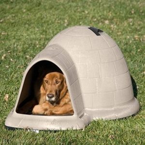 Petmate Indigo Dog House (Igloo Dog House, Made in USA with 90% Recycled Materials, All-Weather Protection Pet Shelter) for XL Dogs -90 to 125 pounds, Made in USA(Medium)