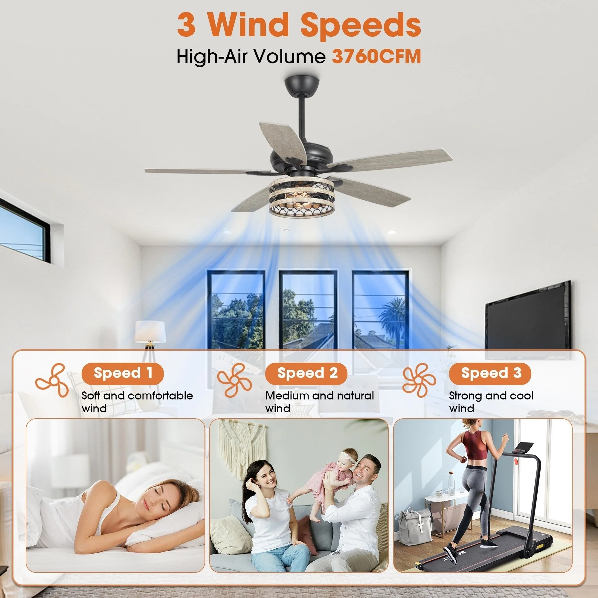 c116d3e0320a7fbd93747e511993c90fb7e3b42ecfe188eb041548731693b074 52 Farmhouse Driftwood 5-Blade Black Caged Ceiling Fan with Remote(Remote)
