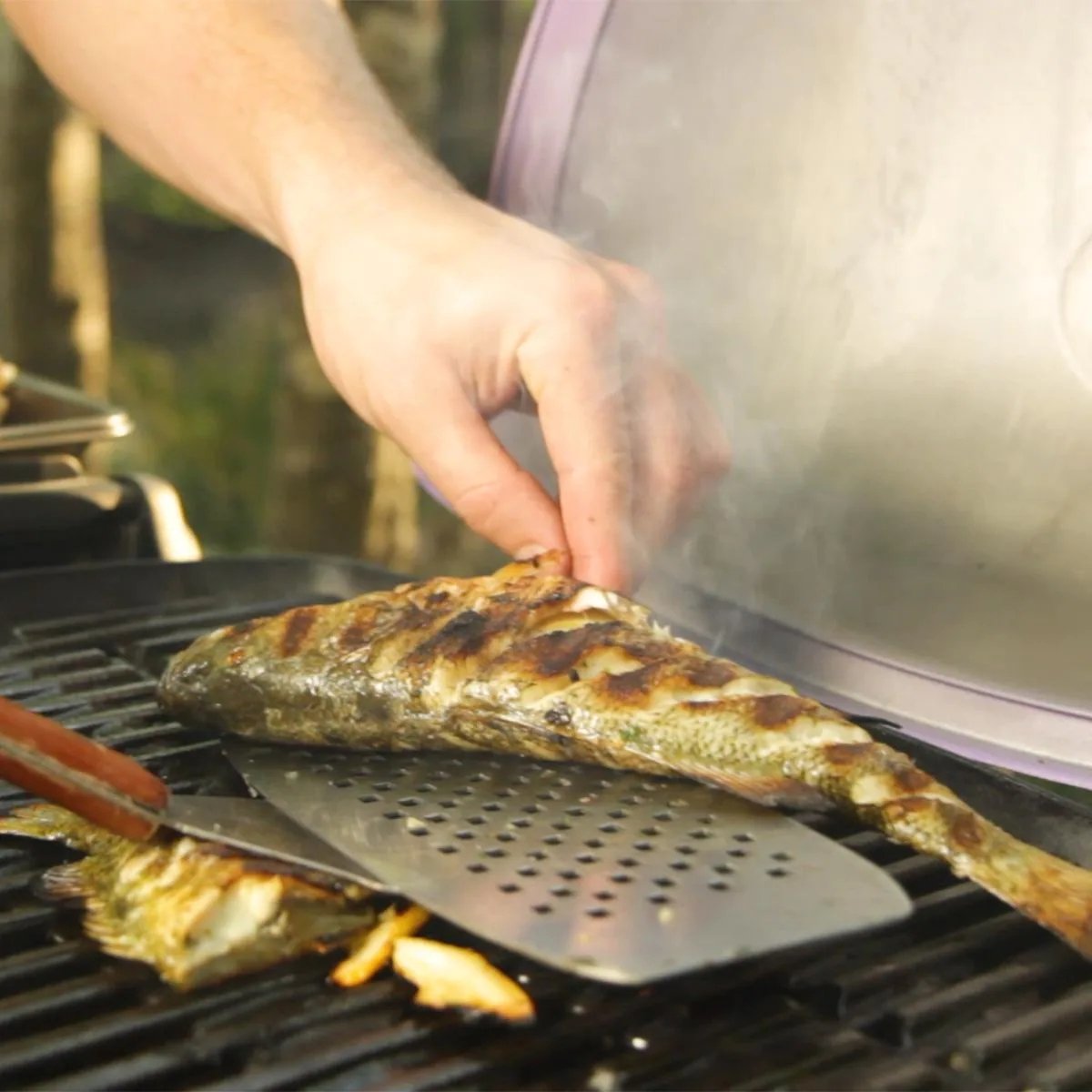 e81f9a002f84ea9c57a7df11f3d5cb336f2bce54759afb775110cd590c2b1566 Weber Q 3200 Propane Gas Grill - Titanium - 57060001